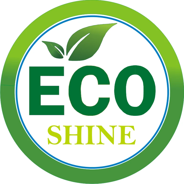 Eco Shine Detailing
