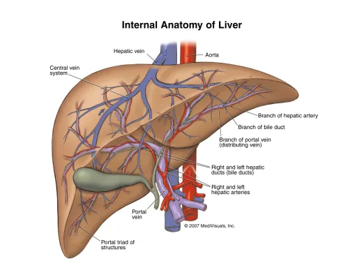 Urodoctor Patna