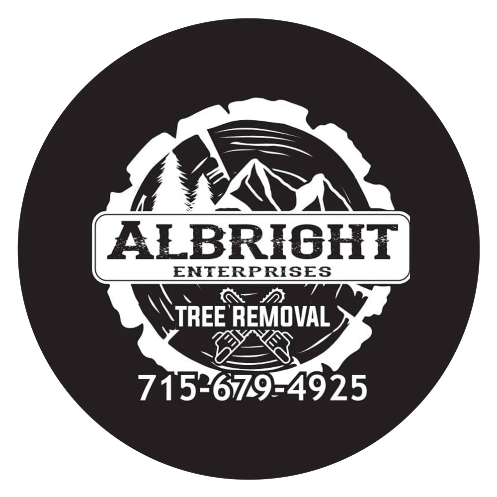Albright Enterprises LLC
