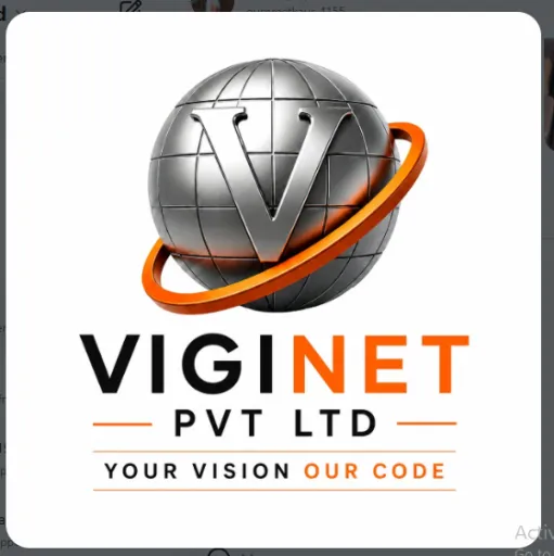 Viginet Software