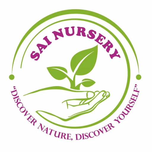Sai Nursery