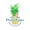 Mr and Mrs Puntacana Transfers