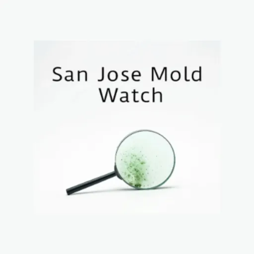 San Jose Mold Watch