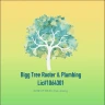 biggtreerooterplumbing