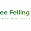 treefellingedenvale