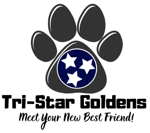 Tristar Goldens