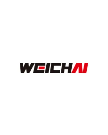 WEICHAI INDIA
