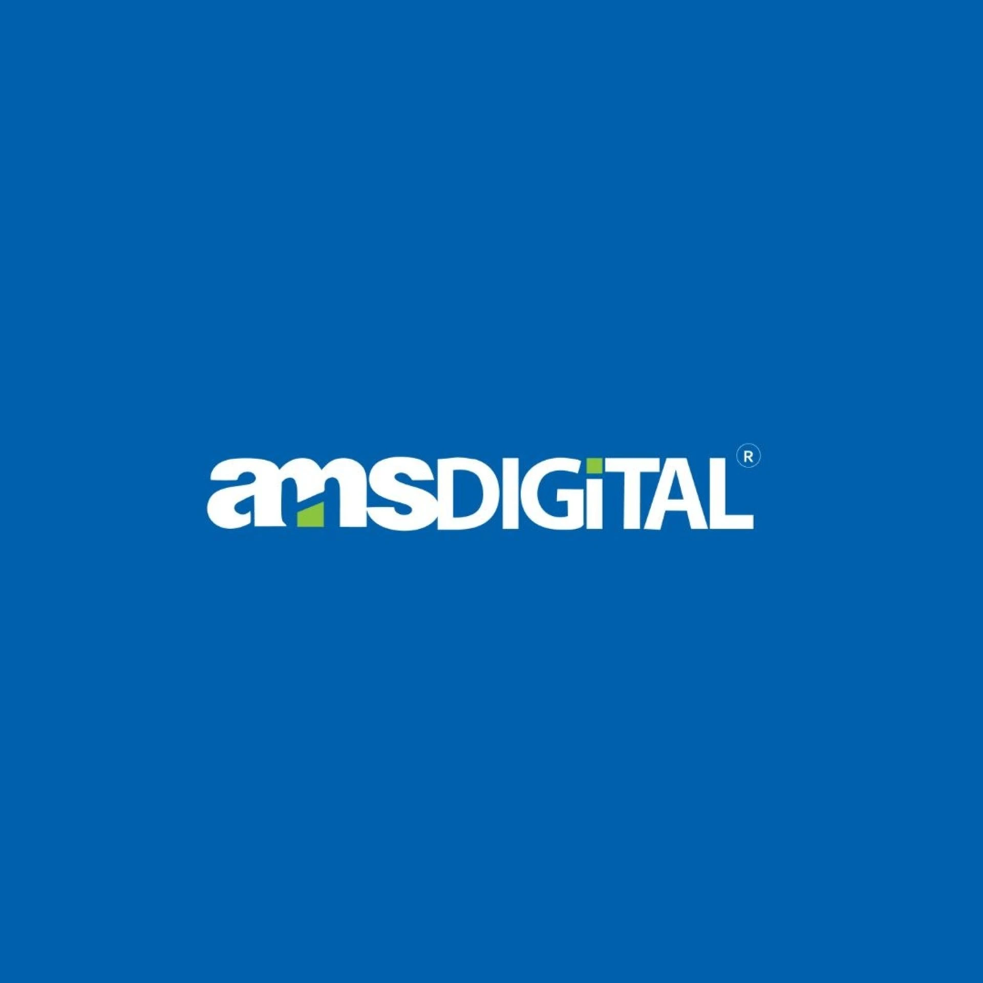 AMSDigital