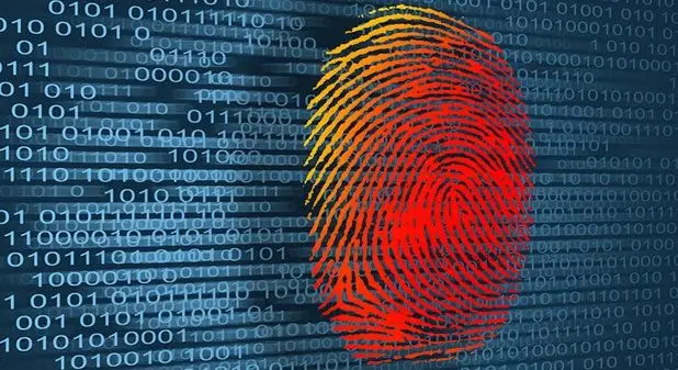 fingerprint verification