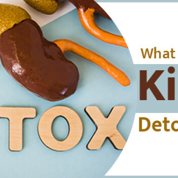 What to know about kidney detoxification-53d70a22