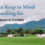 blog image Best Resort in Corbett-c26427d0