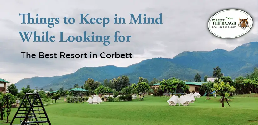 blog image Best Resort in Corbett-c26427d0
