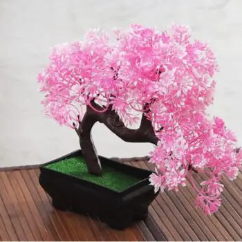 data_home-decors_planters_bent-bonsai-tree-with-pink-and-white-flowers-in-rectangular-pot_2-880x518-4757e140