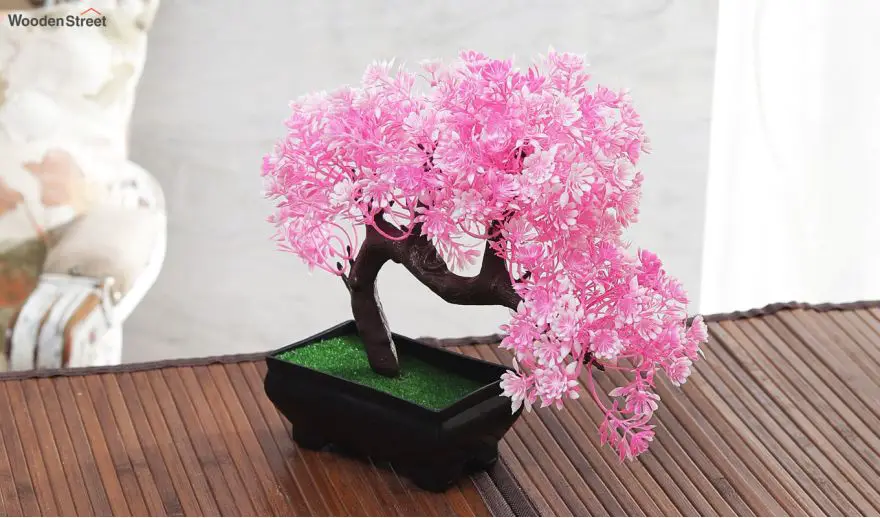 data_home-decors_planters_bent-bonsai-tree-with-pink-and-white-flowers-in-rectangular-pot_2-880x518-4757e140