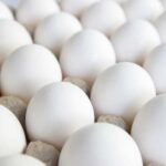 egg-rate-in-pubjab-2022-71c0fcfa