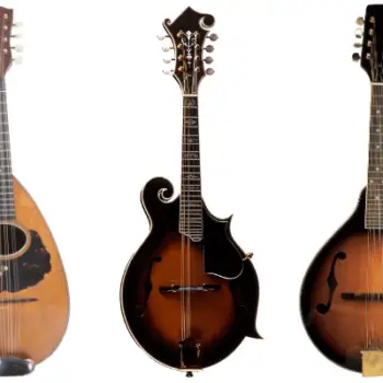 types-of-mandolins-1-1-c2c673b4