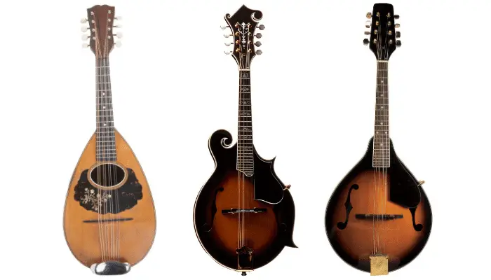 types-of-mandolins-1-1-c2c673b4