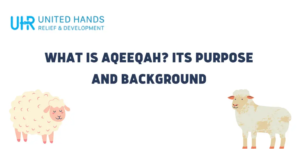 what is aqeeqah1-f6424d44