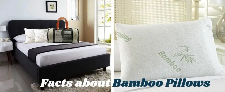 Bamboo Pillows-d95e6ce6
