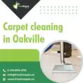Carpet Cleaning in Oakville