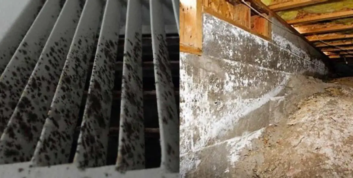How Much Does It Cost To Remove Mold From Air Ducts-f7bce3e4