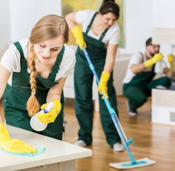In-house cleaning team-ce7fb6c2