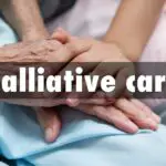 Palliative Care Market2-27a625e7