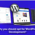 Reasons Why you should opt for WordPress for Web Development-10899ca9