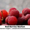 Red Berries Market-bec8467d