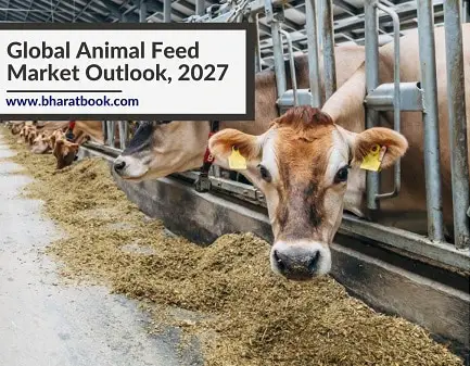 Animal Feed Market-d2cadd53