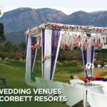 Best wedding venues in jim corbett resorts-420f57b0