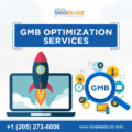 GMB Optimization Services-c8adef07