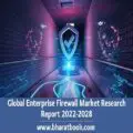 Global Enterprise Firewall Market Research Report 2022-2028-c253afa9