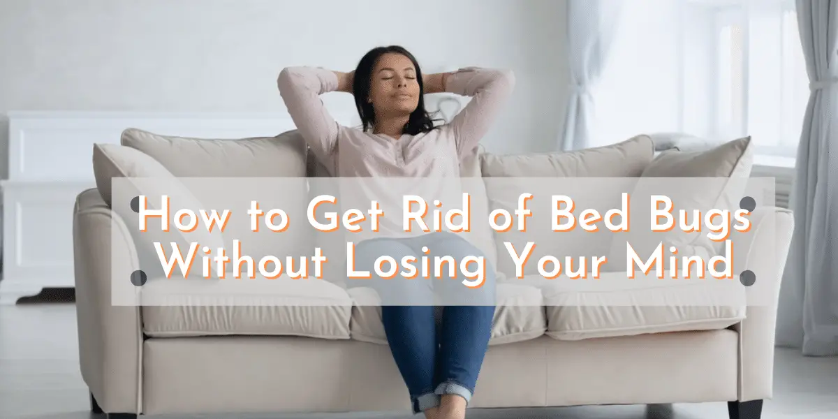How to Get Rid of Bed Bugs Without Losing Your Mind-ab4127ce