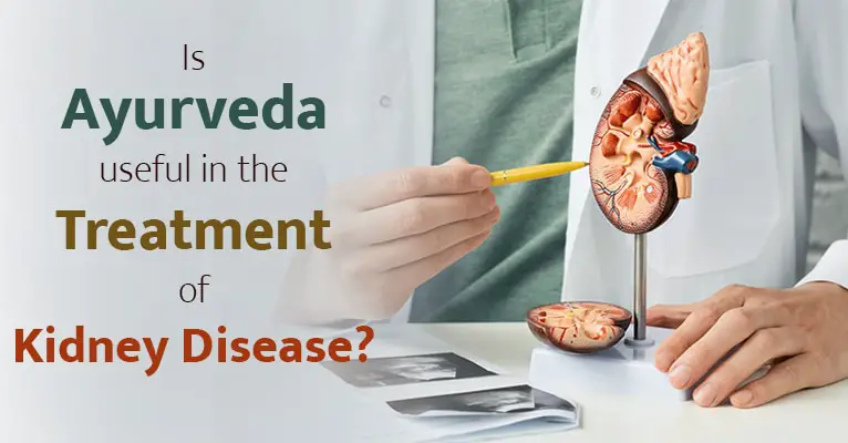 Is Ayurveda useful in the treatment of kidney disease-524b22cb