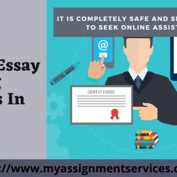 Online Essay Writing Services In Uk-55275b9c
