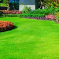 Garden Clearance: How to idea your garden clearance