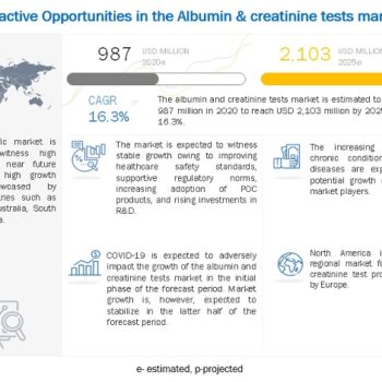 albumin-creatinine-tests-market-5da94066