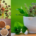herbal-natural-ayurvedic-or-organic-what-to-buy_1-5b5c686e