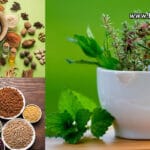 herbal-natural-ayurvedic-or-organic-what-to-buy_1-5b5c686e