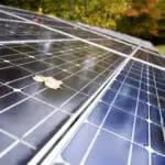solar-energy-panels-at-work-SBI-300976270_20-0eb0833f