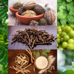 7-amazing-unavoidable-ayurvedic-herbs-for-your-health_1-eaf5e1a5