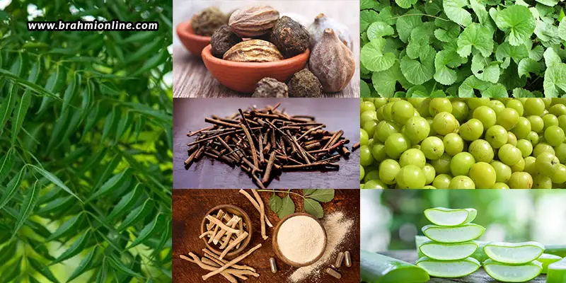7-amazing-unavoidable-ayurvedic-herbs-for-your-health_1-eaf5e1a5