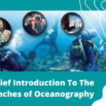 A Brief Introduction To The Branches of Oceanography-4c099e2e