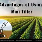 Advantages of Using Mini Tiller-e27177c7