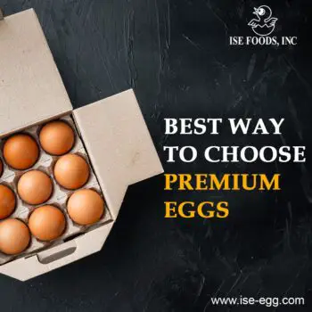 Best way to choose Premium eggs-10e0a0d1