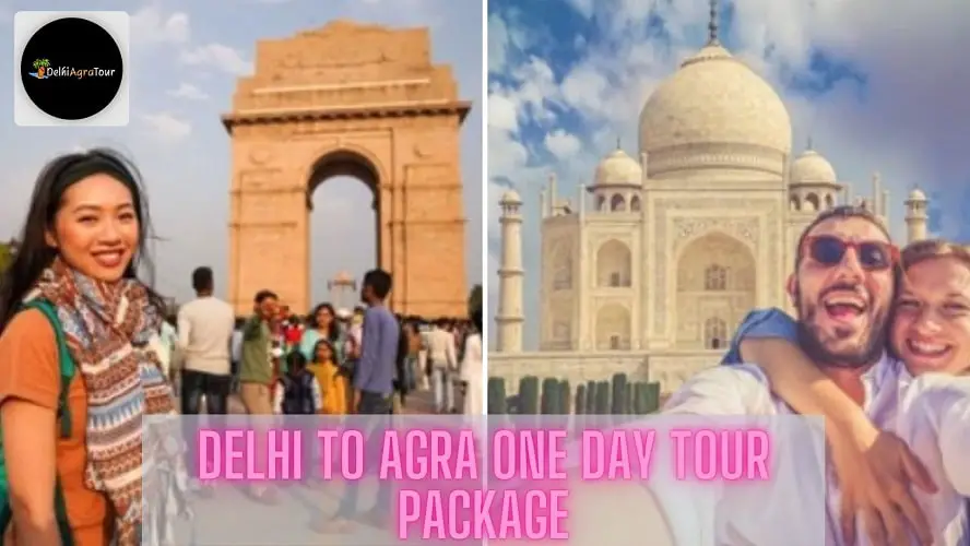 Delhi To Agra One Day Tour Package-f4fed178