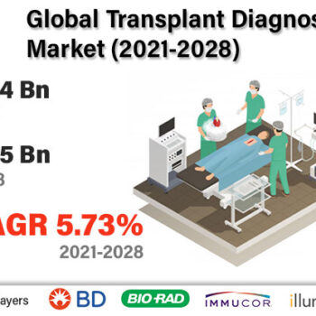 Global Transplant Diagnostic Market Size to grow USD 6.5 billion by 2028-c2b1de75