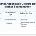 Left-Atrial-Appendage-Closure-Devices-Market-Segmentation_29769-e4b84340