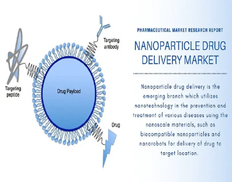 Nanoparticle Drug Delivery Market Report-3338636b